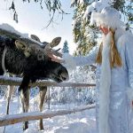 В ГОСТИ К СНЕГУРОЧКЕ! С посещением лосиной фермы в Сумароково