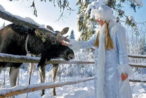 В ГОСТИ К СНЕГУРОЧКЕ! С посещением лосиной фермы в Сумароково