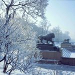 child_rest_excurs_shkola_peterburg_deti13_peter_s413_137168