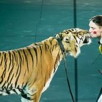 circus_2_0
